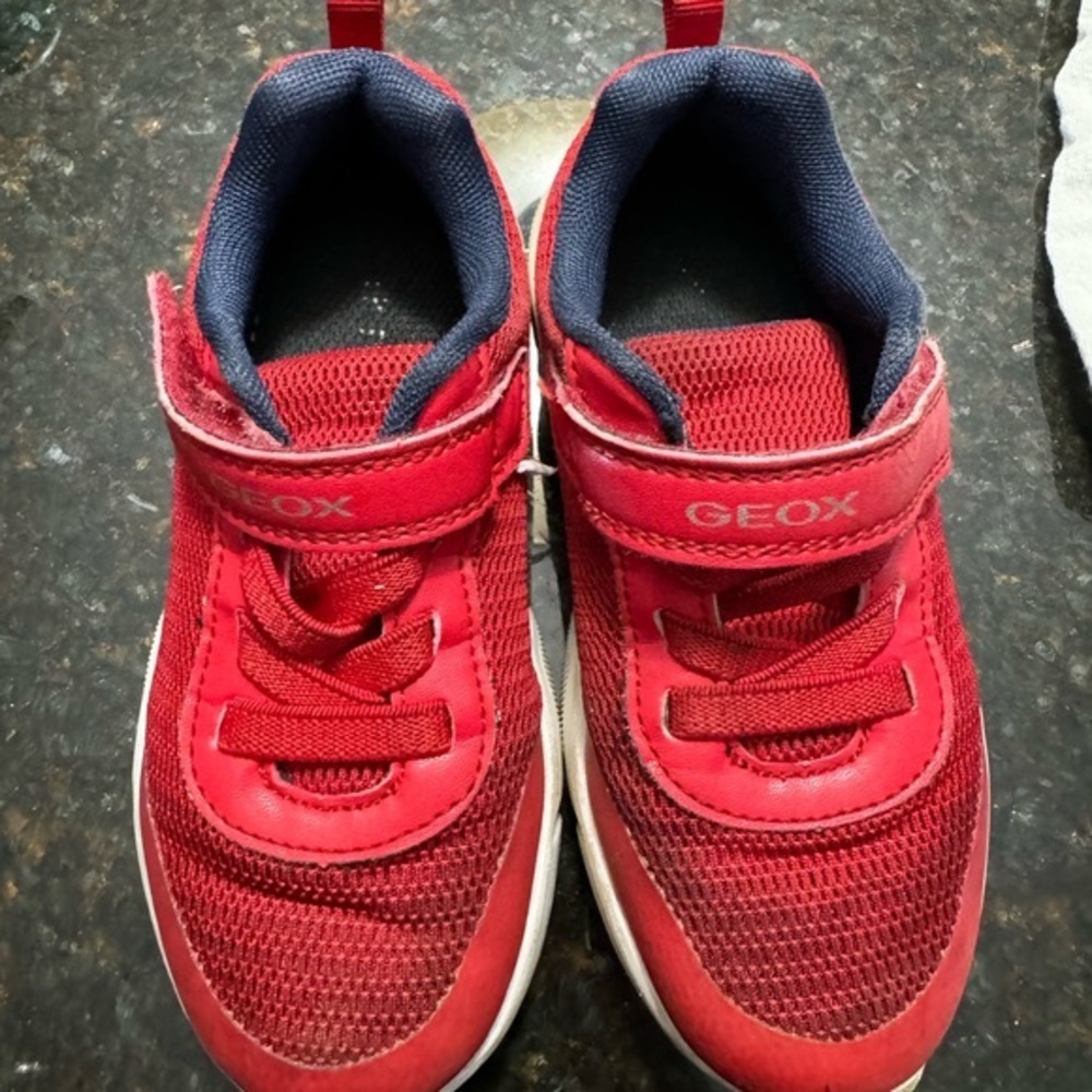 Geox sneakers